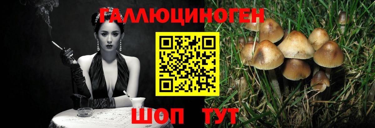 Трёхгорный  Галлюциногенные грибы GOLDEN TEACHER  что такое наркотик  Вход с VPN 